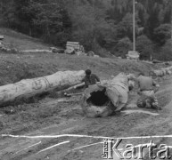 Lata 50., Bieszczady, Polska.
Prace budowlane.
Fot. Jerzy Konrad Maciejewski, zbiory Ośrodka KARTA.