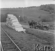 Lata 50., Bieszczady, Polska.
Fragment bieszczadzkiej kolejki wąskotorowej, której budowę rozpoczęto w 1890 r. Zniszczona znacznie w czasie II wojny światowej. Jej rozbudowa była jedną z największych inwestycji powojennych na kolejach leśnych (stała się własnością Lasów Państwowych). Była wykorzystywana przez zakłady przetwórstwa drzewnego do przewozu drzewa.
Fot. Jerzy Konrad Maciejewski, zbiory Ośrodka KARTA.