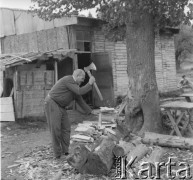 Lata 50., Bieszczady, Polska.
Mężczyzna rąbie drewno siekierą.
Fot. Jerzy Konrad Maciejewski, zbiory Ośrodka KARTA.