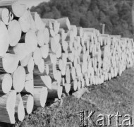 Lata 50., Bieszczady, Polska.
Bale drzewa z pobliskiego tartaku.
Fot. Jerzy Konrad Maciejewski, zbiory Ośrodka KARTA.