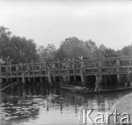 Ok. 1958, prawdopodobnie Borki k. Radzynia Podlaskiego, woj. lubelskie, Polska.
Przez most na rzece Bystrzycy przechodzą krowy. Przy moście na drewnianych łódkach stoją chłopcy.
Fot. Jerzy Konrad Maciejewski, zbiory Ośrodka KARTA.