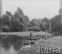 Ok. 1958, Borki k. Radzynia Podlaskiego, woj. lubelskie, Polska.
Młynarz ze wsi Borki uprawia len nad brzegiem zalewu rzeki Bystrzycy. 
Fot. Jerzy Konrad Maciejewski, zbiory Ośrodka KARTA.