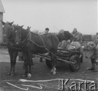Ok. 1958, prawdopodobnie Borki k. Radzynia Podlaskiego, woj. lubelskie, Polska.
Podwórze jednego z gospodarstw. Na wozie zaprzęgniętym w dwa konie siedzi kobieta i mężczyzna. 
Fot. Jerzy Konrad Maciejewski, zbiory Ośrodka KARTA.