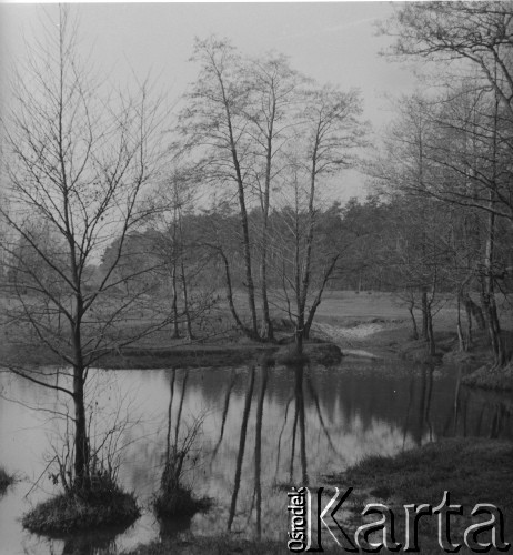 Ok. 1958, Borki k. Radzynia Podlaskiego, woj. lubelskie, Polska.
Zalew rzeki Bystrzycy.
Fot. Jerzy Konrad Maciejewski, zbiory Ośrodka KARTA.