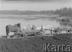 Ok. 1958, prawdopodobnie Borki k. Radzynia Podlaskiego, woj. lubelskie, Polska.
Mężczyzna stoi przy wozach zaprzęgniętych w konie nad zalewem rzeki Bystrzycy.
Fot. Jerzy Konrad Maciejewski, zbiory Ośrodka KARTA.