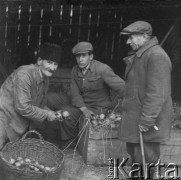 Prawdopodobnie lata 60., Nowe Zawady k. Skierniewic, woj. łódzkie, Polska.
Kazimierz Zarajczyk (lub Sałajczyk?) z synem przebierają jabłka. 1. z prawej stoi Franciszek Michalski ze wsi Chełmce.
Fot. Jerzy Konrad Maciejewski, zbiory Ośrodka KARTA