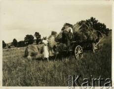 Przed 1939, Chwiecewicze, woj. wileńskie, Polska.
Rolnicy zwożą zboże z pola. Prawdopodobnie pomaga w pracy Erna Emma Maciejewska - żona Jerzego Konrada Maciejewskiego.
Fot. Jerzy Konrad Maciejewski, zbiory Ośrodka KARTA