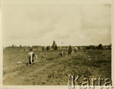 Przed 1939, Chwiecewicze, woj. wileńskie, Polska.
Mieszkańcy wsi budują drogę.
Fot. Jerzy Konrad Maciejewski, zbiory Ośrodka KARTA