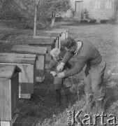 1951, Dębnica k. Człuchowa, woj. koszalińskie, Polska.
Wincenty Żukowski, członek Rolniczej Spółdzielni Produkcyjnej 