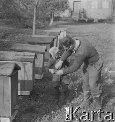 1951, Dębnica k. Człuchowa, woj. koszalińskie, Polska.
Wincenty Żukowski, członek Rolniczej Spółdzielni Produkcyjnej 