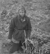 1951, Dębnica k. Człuchowa, woj. koszalińskie, Polska.
Krystyna Hussówna, córka jednego z członków Rolniczej Spółdzielni Produkcyjnej 