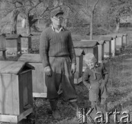 1951, Dębnica k. Człuchowa, woj. koszalińskie, Polska.
Wincenty Żukowski, członek Rolniczej Spółdzielni Produkcyjnej 