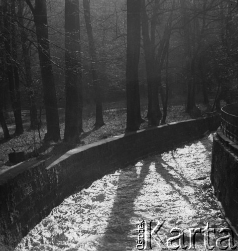 Marzec 1967, Duszniki-Zdrój, woj. wrocławskie, Polska.
Rzeka Bystrzyca Dusznicka przepływa prawdopodobnie przez Park Zdrojowy.
Fot. Jerzy Konrad Maciejewski, zbiory Ośrodka KARTA