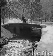 Marzec 1967, Duszniki-Zdrój, woj. wrocławskie, Polska.
Most nad rzeką Bystrzycą Dusznicką w parku.
Fot. Jerzy Konrad Maciejewski, zbiory Ośrodka KARTA