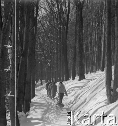 Lata 60., Duszniki-Zdrój, woj. wrocławskie, Polska.
Spacer po lesie. Kobiety ciągną za sobą sanki.
Fot. Jerzy Konrad Maciejewski, zbiory Ośrodka KARTA
