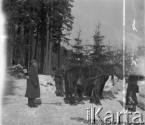 Lata 60., Duszniki-Zdrój, woj. wrocławskie, Polska.
Prawdopodobnie leśnicy przygotowują konie do transportu drewna z lasu.
Fot. Jerzy Konrad Maciejewski, zbiory Ośrodka KARTA