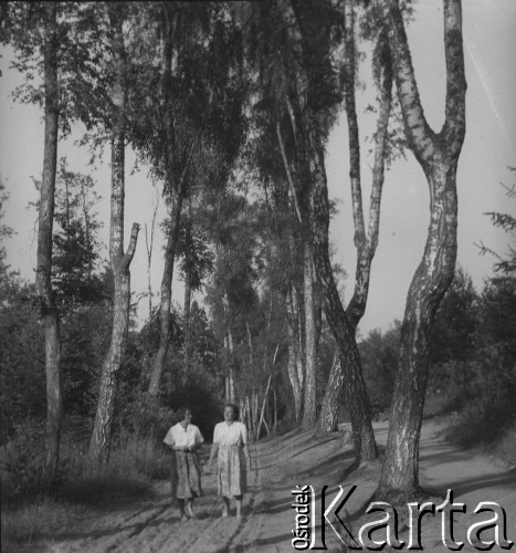 1951, Elbląg, woj. gdańskie, Polska.
Uczestniczki turnusu wczasów wędrownych w zabytkowym parku elbląskim, tzw. Bażantarni.
Fot. Jerzy Konrad Maciejewski, zbiory Ośrodka KARTA