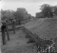 Lata 50., Gawłuszowice, woj. rzeszowskie, Polska. 
Wał przeciwpowodziowy na rzece Wisłoka.
Fot. Jerzy Konrad Maciejewski, zbiory Ośrodka KARTA