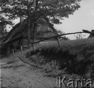 Lata 60. lub 70., Górecko Kościelne, woj. lubelskie, Polska.
Drewniana chata za wsią.
Fot. Jerzy Konrad Maciejewski, zbiory Ośrodka KARTA