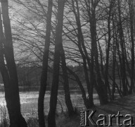 1961 lub 1965, Wigry, woj. białostockie, Polska.
Brzeg jeziora Wigry.
Fot. Jerzy Konrad Maciejewski, zbiory Ośrodka KARTA