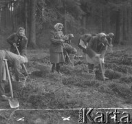 Prawdopodobnie lata 50., Biskupice k. Olesna, Polska.
Kobiety sadzą prawdopodobnie drzewa na skraju lasu. W środku leśniczy Maria Królówna.
Fot. Jerzy Konrad Maciejewski, zbiory Ośrodka KARTA