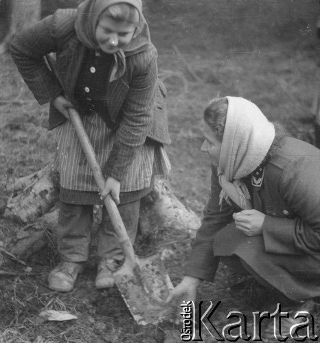 Prawdopodobnie lata 50., Biskupice k. Olesna, Polska.
Leśniczy Maria Królówna z kobietą, która prawdopodobnie sadzi nowe drzewa w lesie.
Fot. Jerzy Konrad Maciejewski, zbiory Ośrodka KARTA