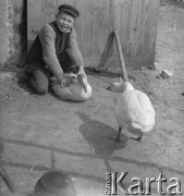 1971, Paszki Duże k. Borek Radzyńskich, woj. lubelskie, Polska.
Stanisław Bandyk z gęsiami na terenie gospodarstwa wiejskiego.
Fot. Jerzy Konrad Maciejewski, zbiory Ośrodka KARTA