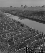 Lata 60. lub 70., Górecko Kościelne, woj. lubelskie, Polska.
Pola uprawne przy rzece Szum.W głębi widoczne stogi siana.
Fot. Jerzy Konrad Maciejewski, zbiory Ośrodka KARTA