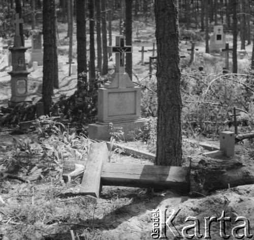 Lata 60. lub 70., Górecko Kościelne, woj. lubelskie, Polska.
Powywracane nagrobki na miejscowym cmentarzu podczas wyrębu drzewa.
Fot. Jerzy Konrad Maciejewski, zbiory Ośrodka KARTA