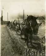 Przed 1939, Warszawa, Polska.
Wozy zaprzęgnięte w konie stoją przed terenem budowy. Na pierwszym planie koń zjada siano z torby.
Fot. Jerzy Konrad Maciejewski, zbiory Ośrodka KARTA