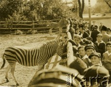 Przed 1939, Warszawa, Polska.
Dzieci oglądają zebry w ZOO. 
Fot. Jerzy Konrad Maciejewski, zbiory Ośrodka KARTA