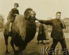 Przed 1939, Warszawa, Polska.
ZOO. Mężczyzna prowadzi wielbłąda, na którym siedzi mały chłopiec w mundurku.
Fot. Jerzy Konrad Maciejewski, zbiory Ośrodka KARTA