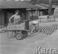 Lata 60., Spławy, woj. lubelskie, Polska.
Cegielnia. Przy cegłach pracują Irena Rak (z lewej) i Janina Biegaj.
Fot. Jerzy Konrad Maciejewski, zbiory Ośrodka KARTA