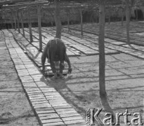 Lata 60., Zgórznica, woj. lubelskie, Polska.
Cegielnia. Robotnik układa cegły do wyschnięcia pod specjalnym dachem wykonanym z gałęzi. 
Fot. Jerzy Konrad Maciejewski, zbiory Ośrodka KARTA