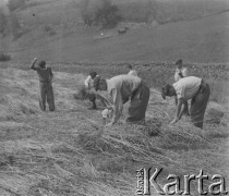 Lato 1940, Weier im Emmental, Szwajcaria.
Internowani żołnierze z 2. Dywizji Strzelców Pieszych wiążą snopki podczas żniw.  
Fot. Jerzy Konrad Maciejewski, zbiory Ośrodka KARTA