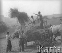 Lato 1940, Weier im Emmental, Szwajcaria.
Internowani żołnierze 2. Dywizji Strzelców Pieszych pracują podczas żniw u szwajcarskiej rodziny.
Fot. Jerzy Konrad Maciejewski, zbiory Ośrodka KARTA