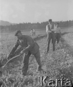 Lato 1940, Weier im Emmental, Szwajcaria.
Internowani w Szwajcarii żołnierze z 2. Dywizji Strzelców Pieszych podczas prac polowych.
Fot. Jerzy Konrad Maciejewski, zbiory Ośrodka KARTA