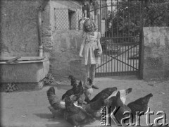 Wiosna 1940, La Maucarriere, Francja.
Córka mjr Antoniego Gaca, szefa sztabu 5 Małopolskiego Pułku Strzelców Pieszych 2. Dywizji Strzelców Pieszych, Zosia, karmi kury przed bramą gospodarstwa wiejskiego.
Fot. Jerzy Konrad Maciejewski, zbiory Ośrodka KARTA