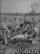 Wiosna 1940, La Maucarriere, Francja.
Żołnierze 5 Małopolskiego Pułku Strzelców Pieszych 2. Dywizji Strzelców Pieszych podczas oprawiania świniaków.
Fot. Jerzy Konrad Maciejewski, zbiory Ośrodka KARTA