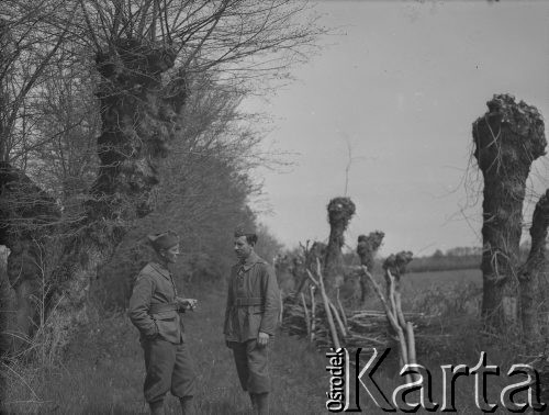 Wiosna 1940, La Maucarriere, Francja.
Podoficerowie 2. Dywizji Strzelców Pieszych podczas rozmowy. W tle widoczne wierzby ze ściętymi gałęziami.
Fot. Jerzy Konrad Maciejewski, zbiory Ośrodka KARTA