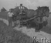 1942-1944, Münchenbuchsee, Szwajcaria.
Rolnik szwajcarski jedzie na wozie zaprzęgniętym w konia. Obok idzie internowany żołnierz 2. Dywizji Strzelców Pieszych, który pracuje u szwajcarskiej rodziny.
Fot. Jerzy Konrad Maciejewski, zbiory Ośrodka KARTA
