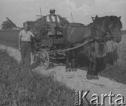 1942-1944, Münchenbuchsee, Szwajcaria.
Rolnik szwajcarski jedzie na wozie zaprzęgniętym w konia. Obok idzie internowany żołnierz 2. Dywizji Strzelców Pieszych, który pracuje u szwajcarskiej rodziny.
Fot. Jerzy Konrad Maciejewski, zbiory Ośrodka KARTA
