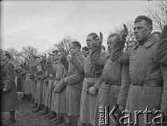 11.02.1940, Assais-les-Jumeaux, Francja.
Żołnierze 5 Małopolskiego Pułku Strzelców Pieszych 2. Dywizji Strzelców Pieszych składają przysięgę.
Fot. Jerzy Konrad Maciejewski, zbiory Ośrodka KARTA