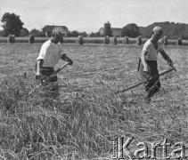 1941, Moospinte, Szwajcaria.
Internowani żołnierze 2. Dywizji Strzelców Pieszych pracują przy żniwach u szwajcarskiego rolnika. Od lewej: pchor. Zygmunt Stankiewicz i  mjr Antoni Ślosarczyk.
Fot. Jerzy Konrad Maciejewski, zbiory Ośrodka KARTA