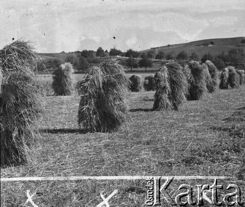 1941, Moospinte, Szwajcaria.
Snopki zboża na polu należącym do szwajcarskiego rolnika, u którego podczas żniw pracowali polscy żołnierze z 2. Dywizji Strzelców Pieszych.
Fot. Jerzy Konrad Maciejewski, zbiory Ośrodka KARTA