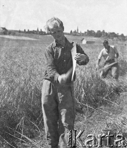 1941, Moospinte, Szwajcaria.
Internowany żołnierz 2. Dywizji Strzelców Pieszych pchor. Zygmunt Stankiewicz podczas żniw u szwajcarskiego rolnika. Na zdjęciu ostrzy kosę.
Fot. Jerzy Konrad Maciejewski, zbiory Ośrodka KARTA