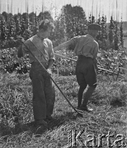 1941, Moospinte, Szwajcaria.
Internowani żołnierze z 2. Dywizji Strzelców Pieszych pracują u szwajcarskiego rolnika. 2. z lewej stoi mjr. Antoni Ślosarczyk.
Fot. Jerzy Konrad Maciejewski, zbiory Ośrodka KARTA