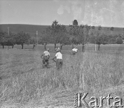 1941, Moospinte, Szwajcaria.
Internowani żołnierze z 2. Dywizji Strzelców Pieszych pracują na polu u szwajcarskiego rolnika.
Fot. Jerzy Konrad Maciejewski, zbiory Ośrodka KARTA