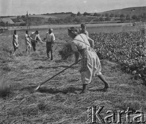 1940, Moospinte, Szwajcaria.
Rodzina szwajcarska podczas sianokosów.
Fot. Jerzy Konrad Maciejewski, zbiory Ośrodka KARTA