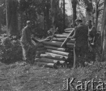 1945-1946, Lys-lez-Lannoy, Francja.
Żołnierze 2. Dywizji Strzelców Pieszych przy pracy. Mężczyźni stoją prawdopodobnie przy stosie metalowych rur.
Fot. Jerzy Konrad Maciejewski, zbiory Ośrodka KARTA

